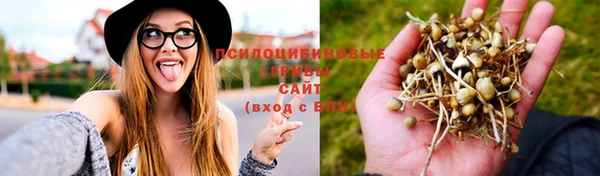 метамфетамин Покачи