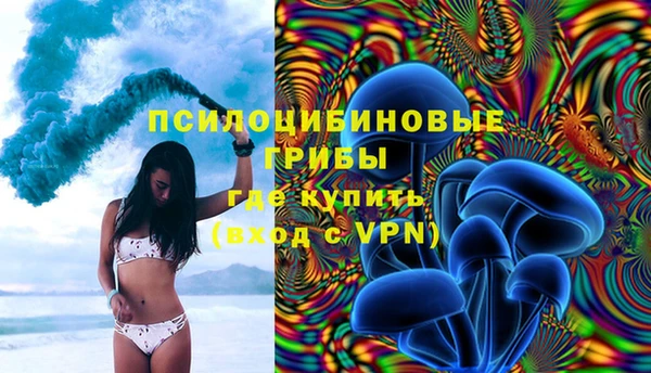 гидропоника Елабуга