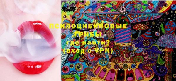 гидропоника Елабуга