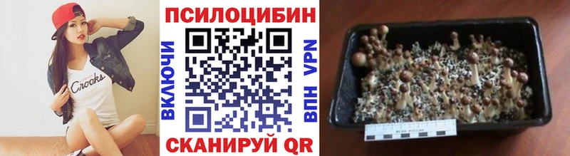 Псилоцибиновые грибы Psilocybe  Свирск 